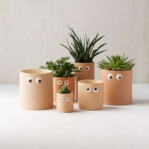 URBAN OUTFITTERS PLANTERS (3!!!!)